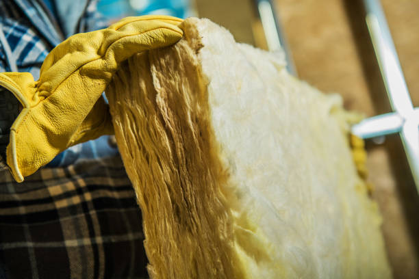 Best Insulation Maintenance and Repair in Arlington Heights, WA